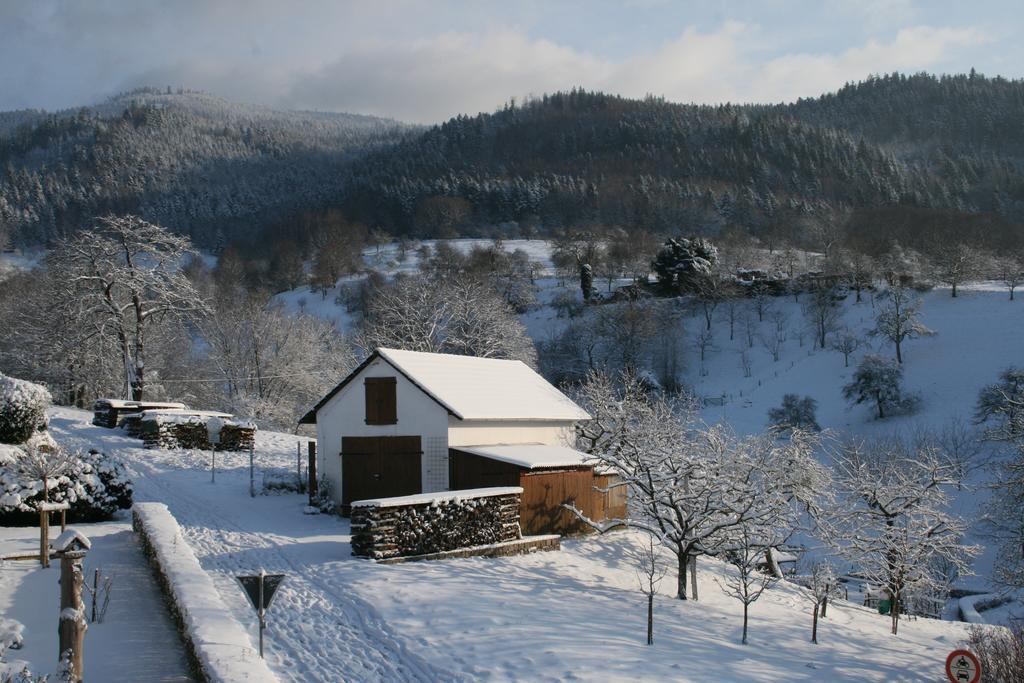 Ferienwohnung Bella Natura Loffenau Exterior foto